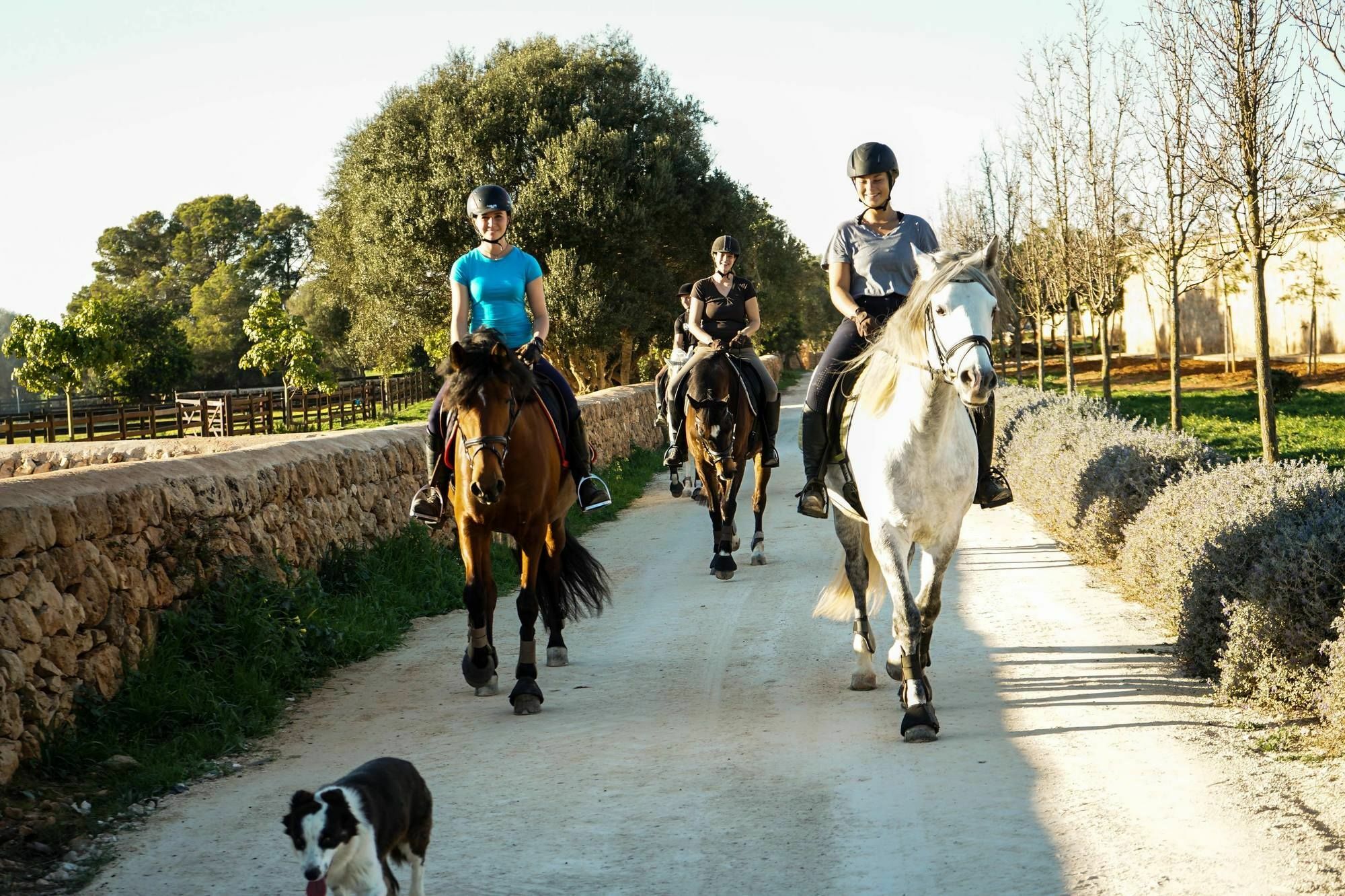 Vmg Horse Ranch (Adults Only) Villa Llucmajor  Eksteriør billede